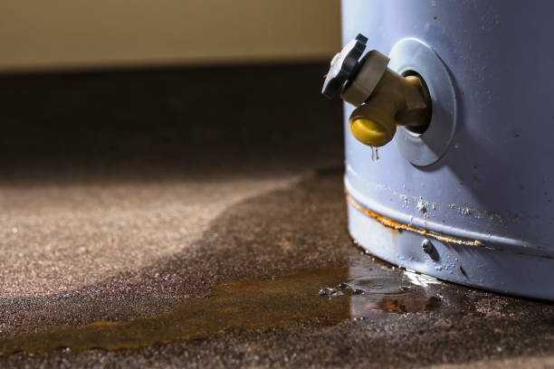 Best Fire Damage Restoration  in Smithville, MO