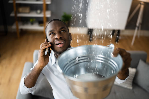 Best Water damage cleanup near me  in Smithville, MO