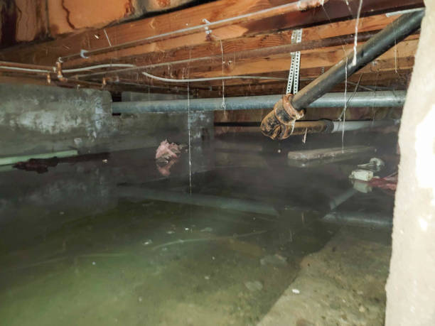 Best Water damage restoration near me  in Smithville, MO