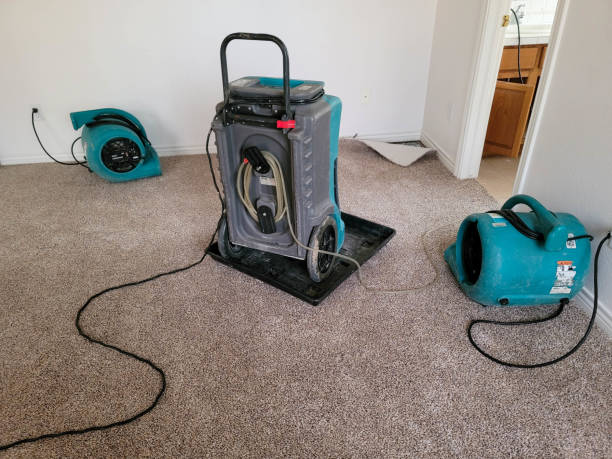 Best 24-hour water damage restoration  in Smithville, MO