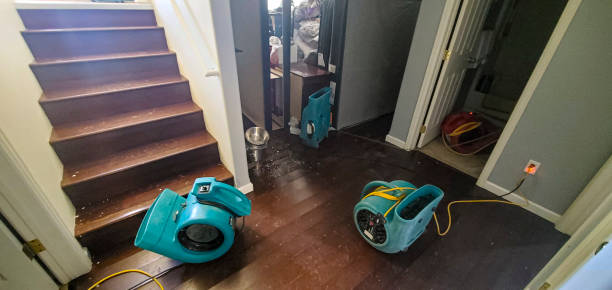 Best Professional water damage repair  in Smithville, MO