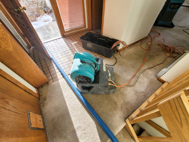 Best Basement water damage restoration  in Smithville, MO