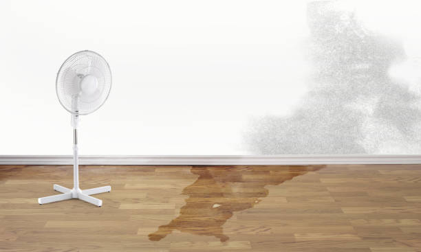 Best Sewage cleanup and water damage restoration  in Smithville, MO