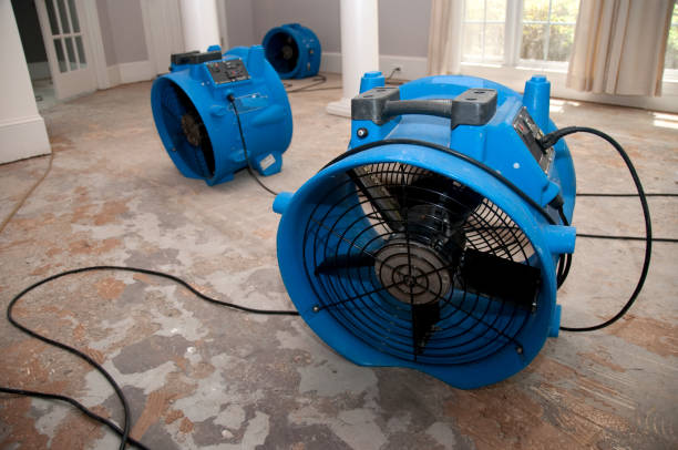 Best Water damage restoration near me  in Smithville, MO