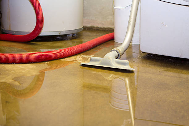 Best Residential water damage restoration  in Smithville, MO
