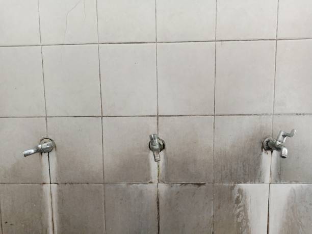 Best Flood damage cleanup  in Smithville, MO