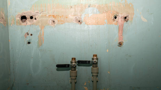 Best Flood restoration services  in Smithville, MO