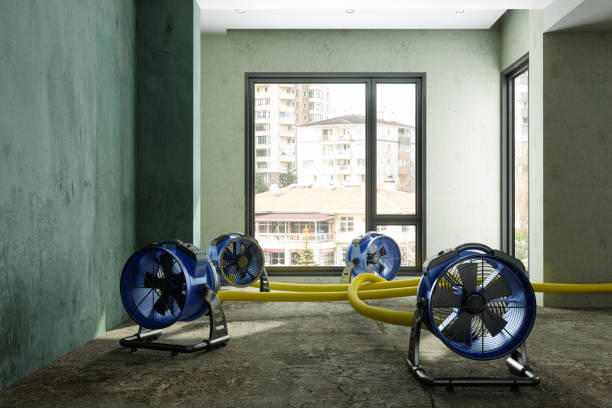 Best Emergency water damage restoration  in Smithville, MO
